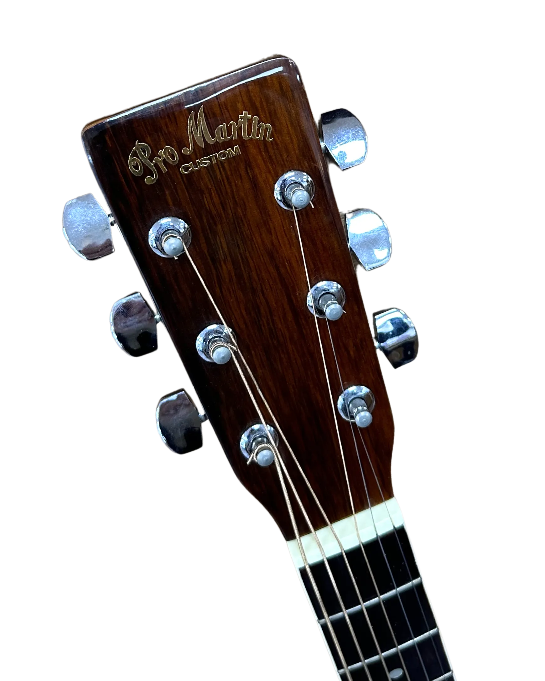 Acoustic Guitar Pro Martin Custom W240 TS Acoustic Guitar