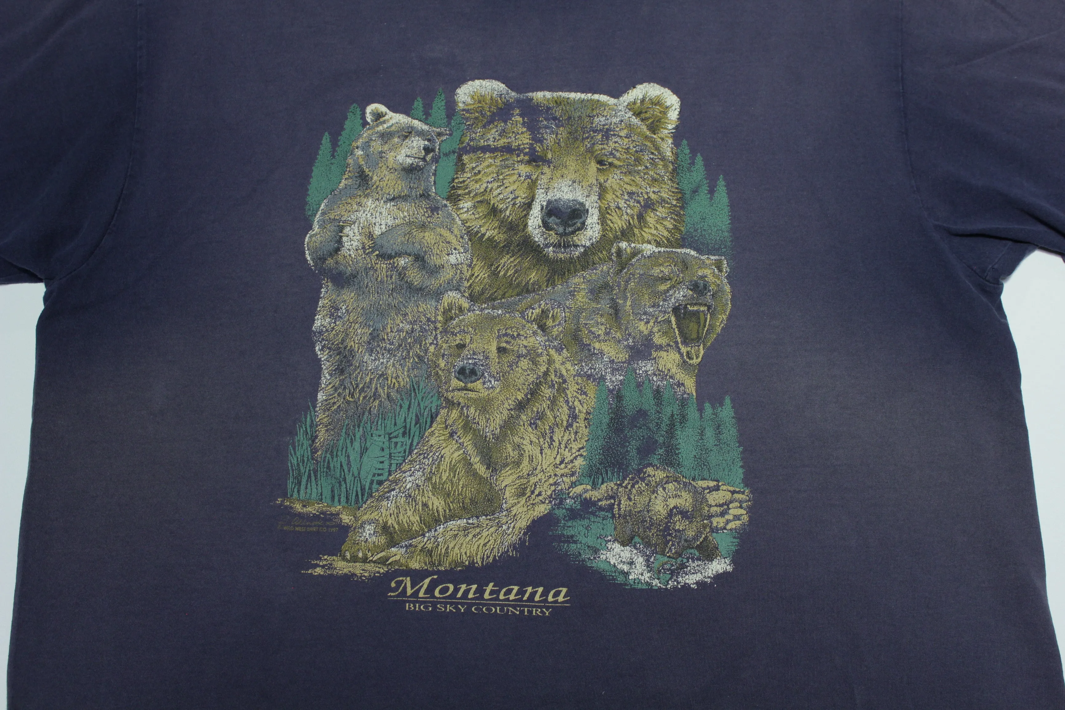 Montana Big Sky Country Vintage 90's Grizzly Bear Wilderness T-Shirt